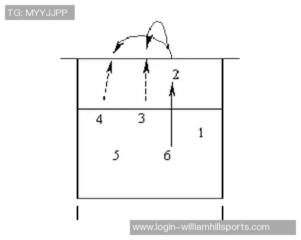 排球新手必看战术入门指南助你快速提升竞技水平与团队配合技巧 排球新手必看战术入门指南助你快速提升竞技水平与团队配合技巧
