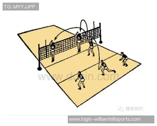 成都排球队战术解析：从基础训练到比赛策略的全面探讨