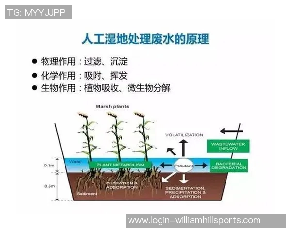 体育实时数据从零基础到篮球战术高手的全面指南与实战技巧解析