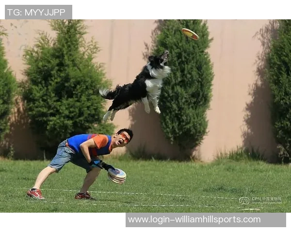 西安飞盘队在极限运动世界杯中的意识表现分析与点评实时数据