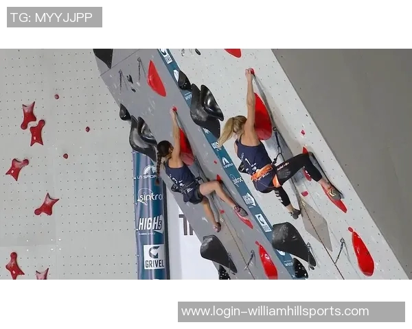 运动数据南京攀岩队与上海攀岩队的精彩对决分析与力量对比